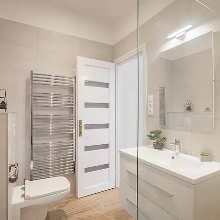 Luxury 2bed/2bath In Downtown